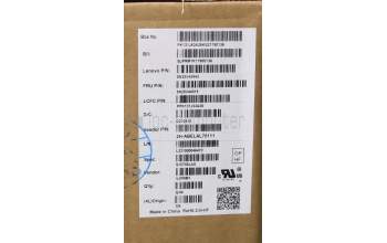 Lenovo 5N20V44015 NB_KYB CMFL-CS20,BK-NBL,PMX,LA SPA