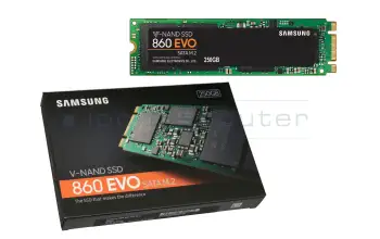 Samsung 860 EVO MZ-N6E250BW SSD 250GB (M.2 22 x 80 mm)