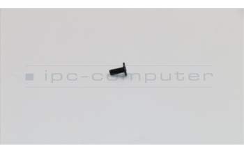 Lenovo 90205222 ACLU1ScrewD-SYSIDHole/ThmDoor-SYS