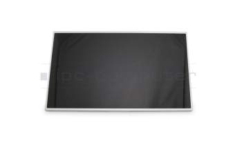 Asus 18010-17320200 original TN display (1600x900) glossy 60Hz