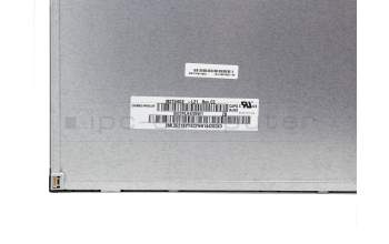 Asus 18010-21500400 original display (1920x1080) matt