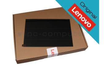 Lenovo 5D11A22492 original IPS display WUXGA (1920x1200) matt 60Hz