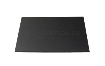 Lenovo 5D11J74768 original IPS display WUXGA (1920x1200) matt 60Hz