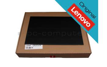 Lenovo ThinkPad P16s Gen 1 (21BT/21BU) original IPS display WUXGA (1920x1200) matt 60Hz (30 Pin)