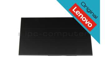 Lenovo ThinkPad T14s Gen 5 (21LS/21LT) original IPS display WUXGA (1920x1200) matt 60Hz