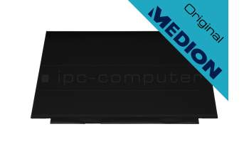 Medion Erazer Deputy P10 (K15CDN) original IPS display FHD (1920x1080) matt 144Hz