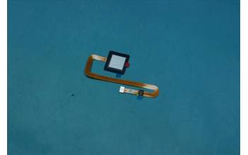 Lenovo SC98C07344 Paul_FP_OFILM_Gun_FPC_1022/FTW-0255-01