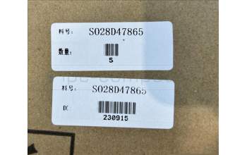 Lenovo SO28D47865 P11 Pro Gen2 US-Greek KB;Gray;TN