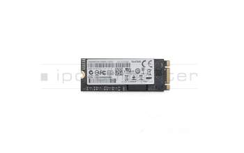 Substitute for SanDisk X110 M.2 2260 SSD 256GB (M.2 22 x 60 mm)