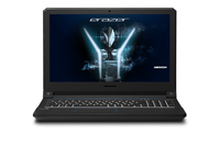 Medion Erazer X6601 (N155RD1)