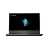 Medion Erazer P15601 (NH55RHQ-M)