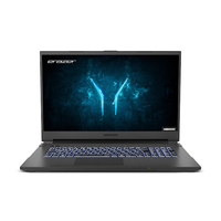 Medion Erazer Defender P10 (NH77DDW-M)