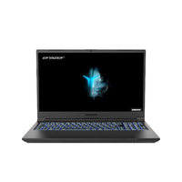 Medion Erazer Crawler E10 (NP50DE-M)