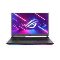 Asus ROG Strix G17 G713QR
