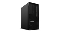 Lenovo ThinkStation P350 Workstation (30E3)