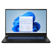 Medion Erazer Defender P20 (NP70PNP-M)