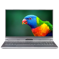 Medion Akoya S15801 (GM5MP0Y)