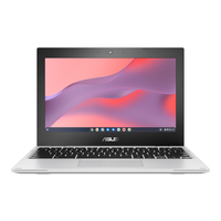Asus Chromebook CX1 CX1102CKA