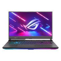 Asus ROG Strix G17 G713PI