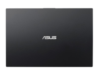 Asus Pro Advanced BU401LA