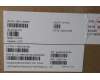 5M11L64666 Lenovo MECH_ASM KBDW C EURO ENG BKLTLTN WW USGY