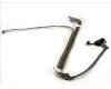 W805M Dell LVDS / Camera Cable
