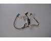 Dell WTNR3 Embedded DisplayPort assembly