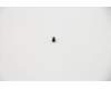 Lenovo 5S10S35136 SCREW Screw L 81TC 2D6LK3.5D0.3TNL*B