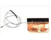 Acer 50.HSFN2.001 ANTENNA.MAIN