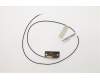 Lenovo 00XJ116 ANTENNA LX AMD 720 500mm Rear antenna
