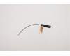 Lenovo 00XJ146 ANTENNA M820z ANTENNA