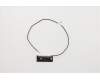 Lenovo 00XJ150 ANTENNA Lx 15L Black Front antenna