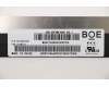 01YN170 Lenovo DISPLAY BOE 14.0 FHD AG