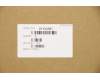 Lenovo 01YW381 CABLE Fru 300mm 1 Port Rear U2 HP cable