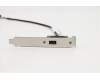 Lenovo 01YW381 CABLE Fru 300mm 1 Port Rear U2 HP cable