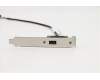 Lenovo Fru, 300mm Rear USB2 cable (1 ports USB for Lenovo ThinkCentre M720s