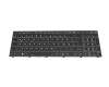 Keyboard DE (german) black/white/black with backlight (backlight white) original suitable for Clevo NJ5x