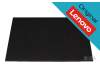 Original Lenovo IPS display WUXGA matt 60Hz (Non-Touch) for Lenovo ThinkPad T14s G3 (21BR/21BS)