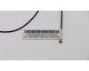 31501133 Lenovo CABLE LS 400mm Antenna_Black_Roatan