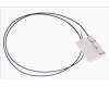 50.Q5AN2.006 Acer ANTENNA.MAIN