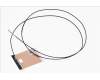 50.Q5EN2.007 Acer ANTENNA.MAIN