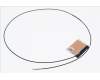 50.Q7KN2.009 Acer ANTENNA.WLAN.MAIN