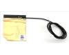 Acer 50.Q7XN2.001 ANTENNA.WLAN.MAIN