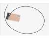 50.VM5N8.004 Acer ANTENNA.MAIN