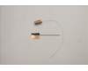 Lenovo 5A30S36076 ANTENNA Antenna W 82RA MAIN+AUX