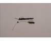 Lenovo 5A30S36084 ANTENNA Antenna WT 82TQ MAIN&AUX