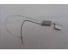 Lenovo 5A30S36106 ANTENNA Antenna H 83GH L+R