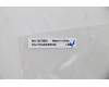 Lenovo 5A30Z88162 ANTENNA FRU Serval ACCY KITS ANT WLAN