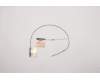 Lenovo 5A30Z88172 ANTENNA ANTENNA ACCY KITS ANTENNA MIMO