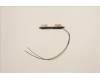 Lenovo 5A30Z88190 ANTENNA FRU ANTENNA Mercury 3.0 AMD